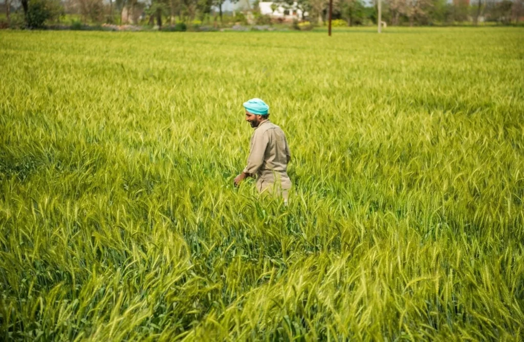 Ludhiana, Punjab