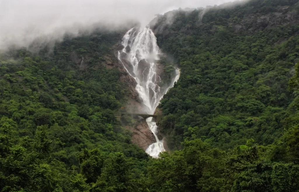 Dudhsagar Falls (literally Sea of Milk) is a four-tiered waterfall located on the Mandovi River in the Indian state of Goa .