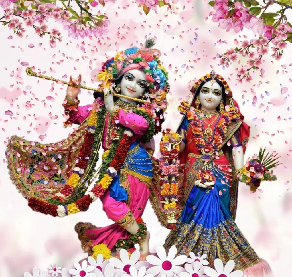 Hindu God Radha Krishna Iskcon Temple With Nice Dressup And Rose Petals Background Wallpaper Design