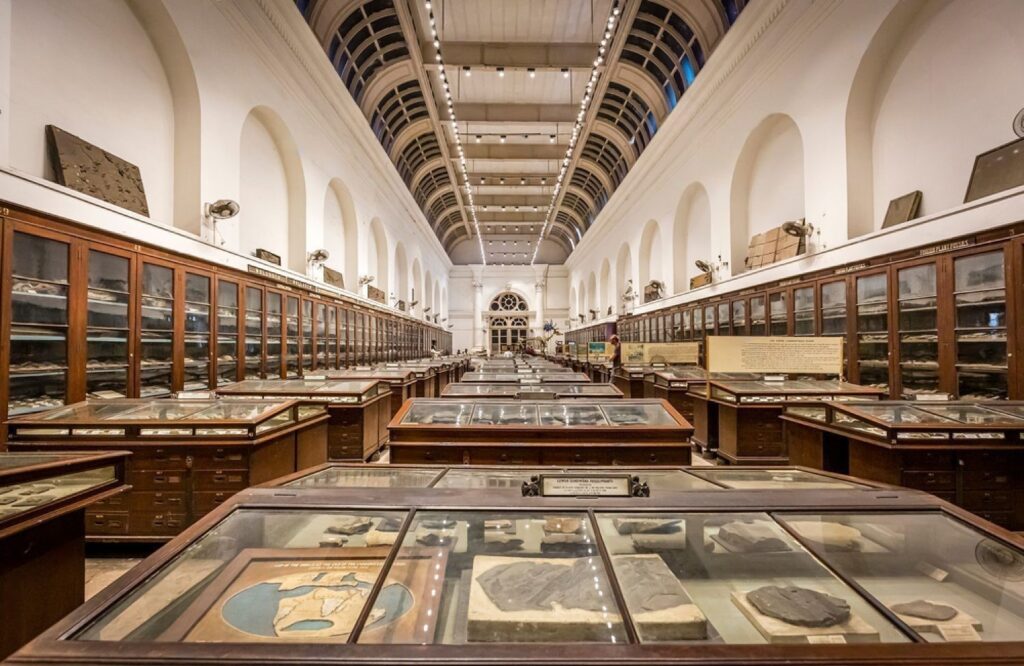 View of archaeological items put on display inside the famous Indian Museum in Kolkata