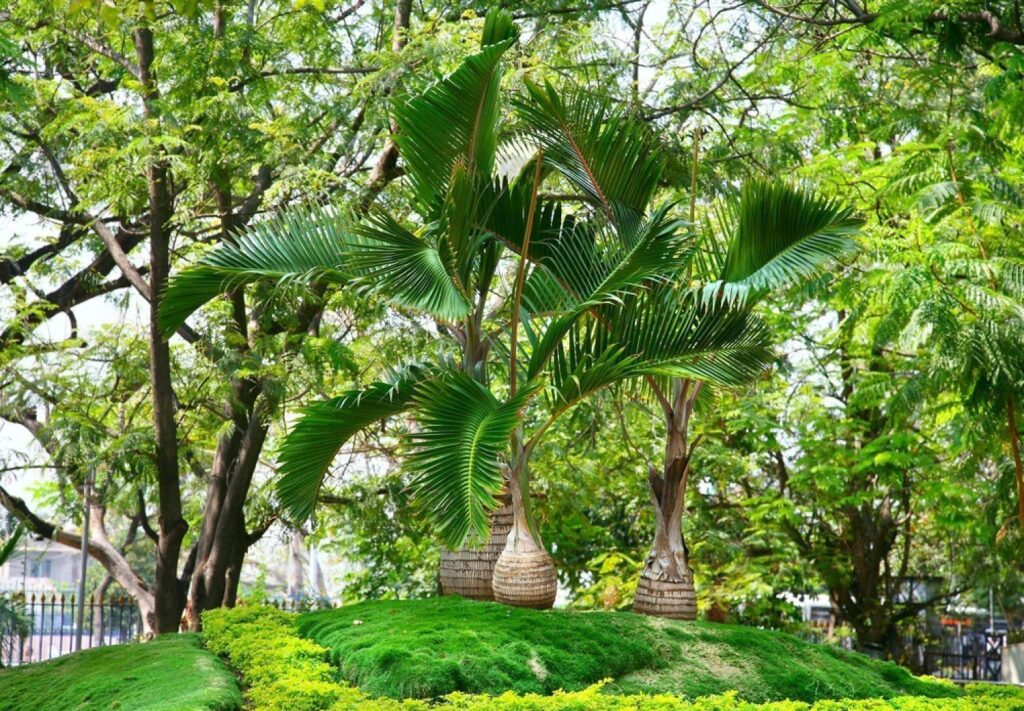 Lumbini Park