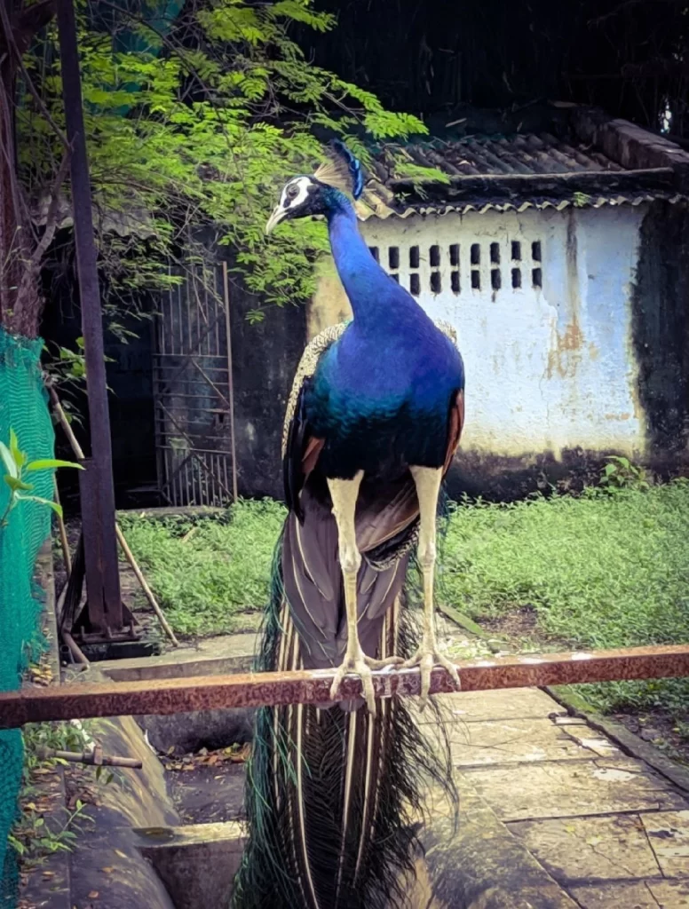 sarthana national park in india