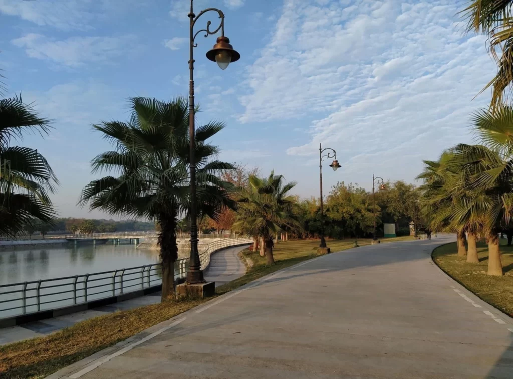 Landscape showing sky, clouds and coconut tree giving a beautiful picture of nature at Janeshwar mishra park located in Lucknow Uttar pradesh